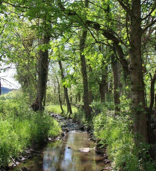 פנסיון Alcove Du Velay