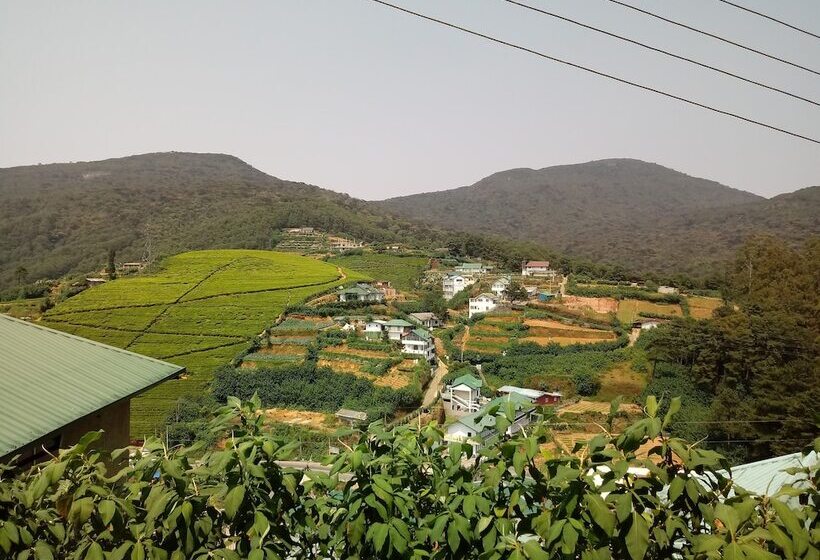 פנסיון Mount Cottage