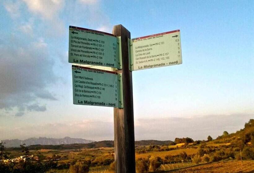 پانسیون Rural Hd Riudebitlles Art I Allotjament