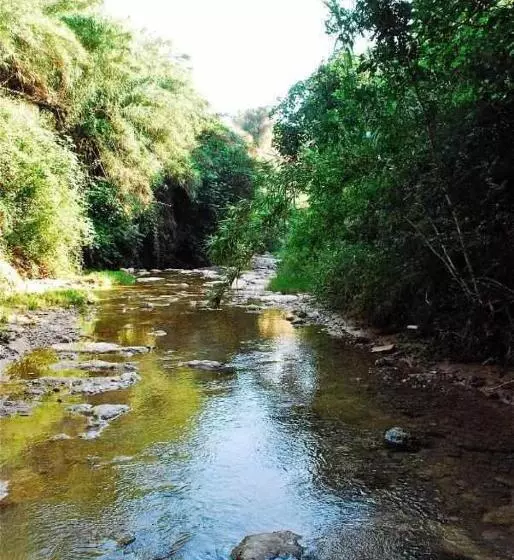 Majatalo Rural Hd Riudebitlles Art I Allotjament