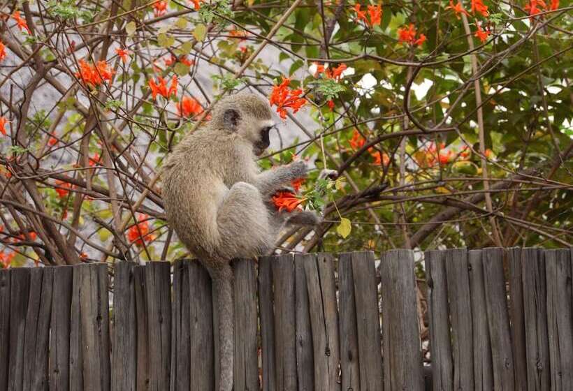 酒店 Kruger Park Tours