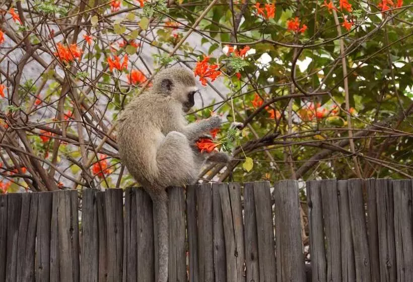 هتل Kruger Park Tours