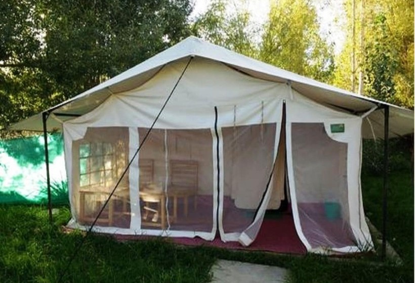 Hotel Tih Saser Camp Nubra