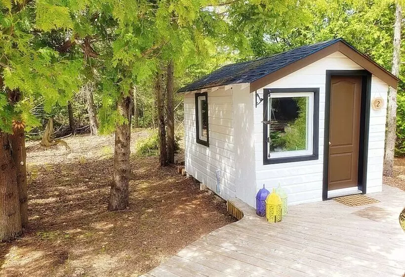 Majatalo Buddha Bing Cottage And Cabins