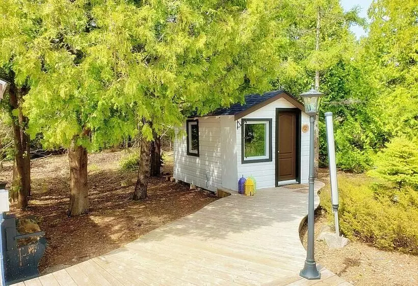 Majatalo Buddha Bing Cottage And Cabins