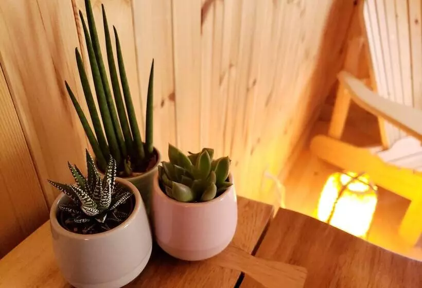 Majatalo Buddha Bing Cottage And Cabins