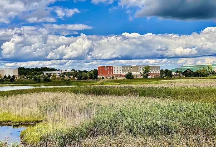 酒店 Holiday Inn Express & Suites Chicago Hoffman Estates, An Ihg