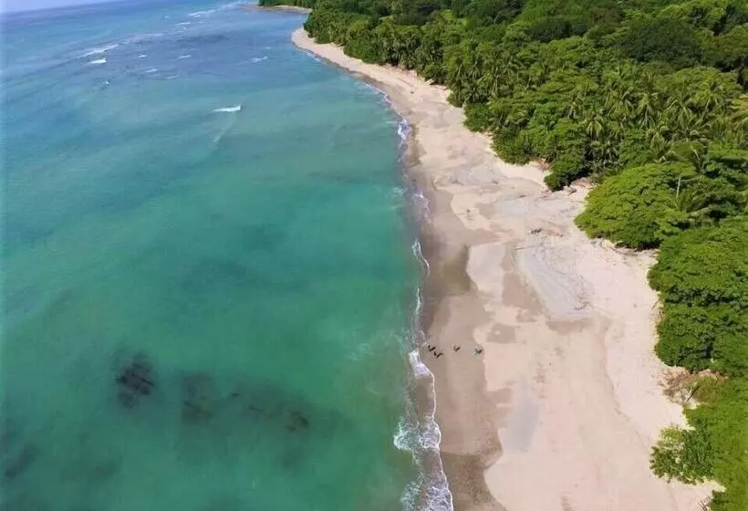 ホテル Villas Cabuya Beach & Forest