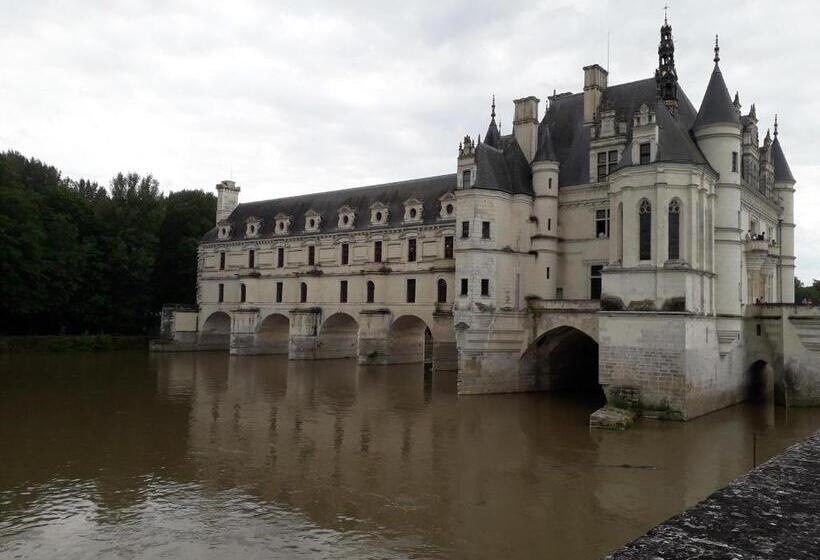 膳宿费 Les Hirondelles