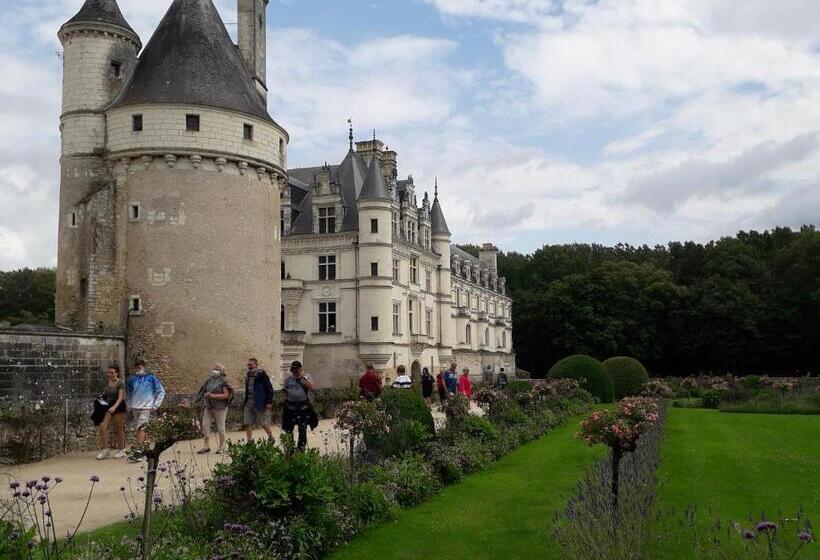 膳宿费 Les Hirondelles