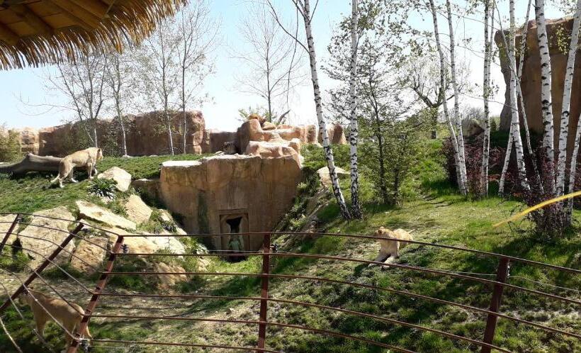 膳宿费 Les Hirondelles