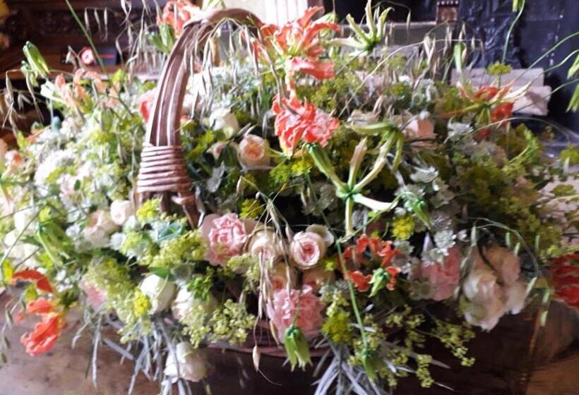 膳宿费 Les Hirondelles