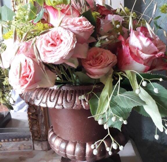 膳宿费 Les Hirondelles