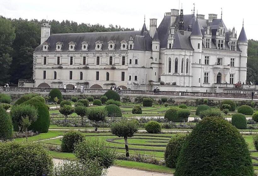 膳宿费 Les Hirondelles