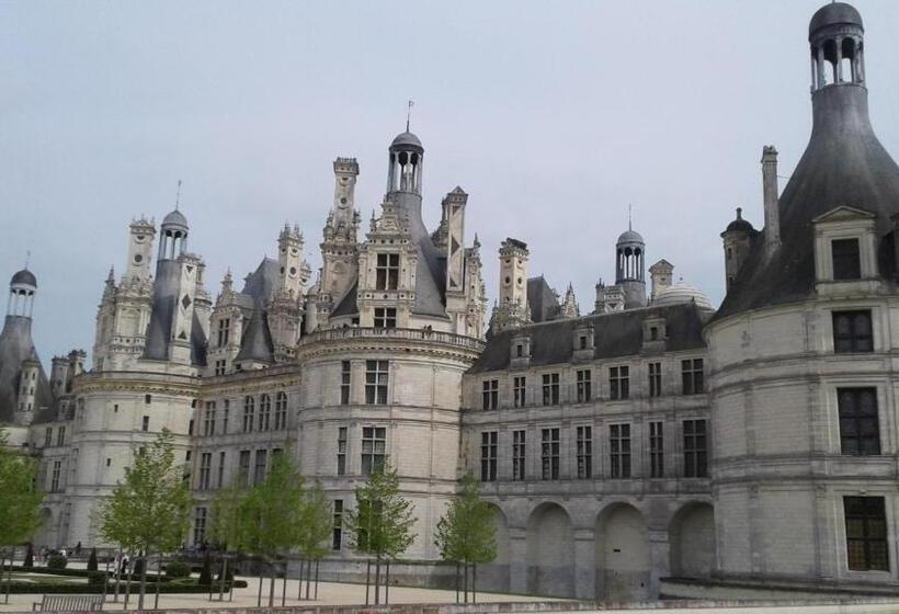 膳宿费 Les Hirondelles