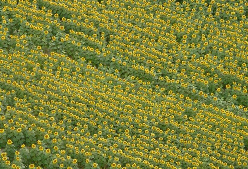 膳宿费 Les Hirondelles