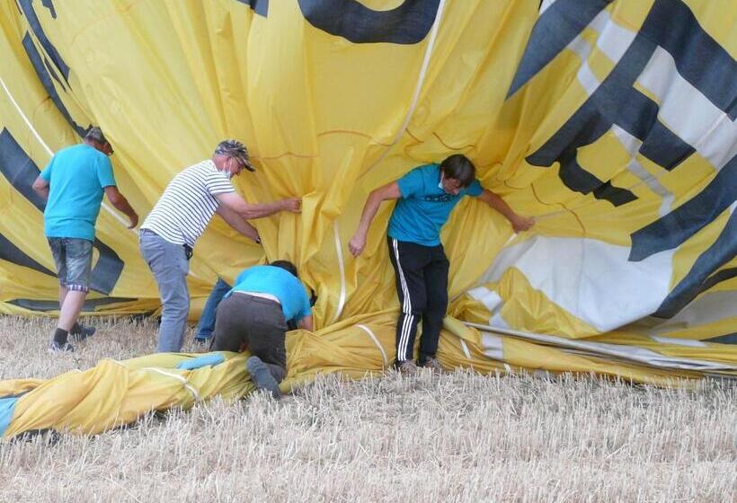 膳宿费 Les Hirondelles