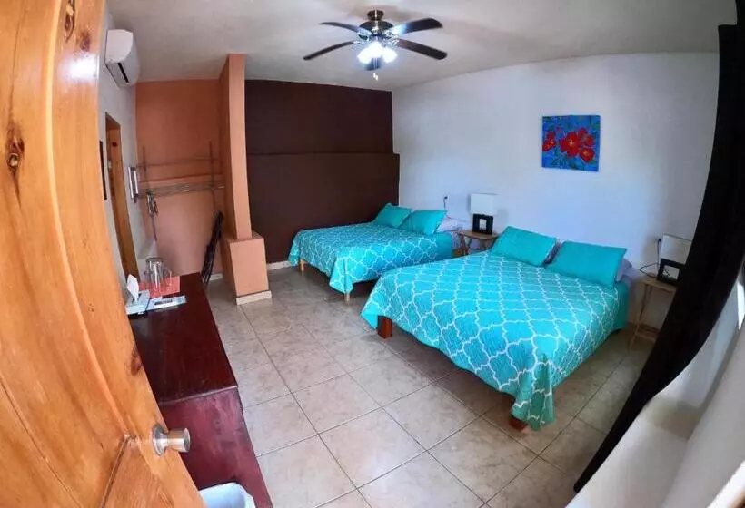 Lomakeskus Baja Joe S
