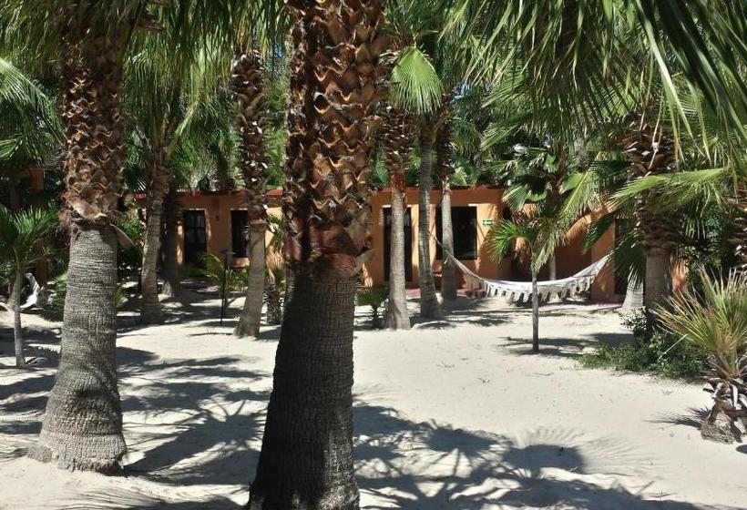 Курорт Baja Joe S