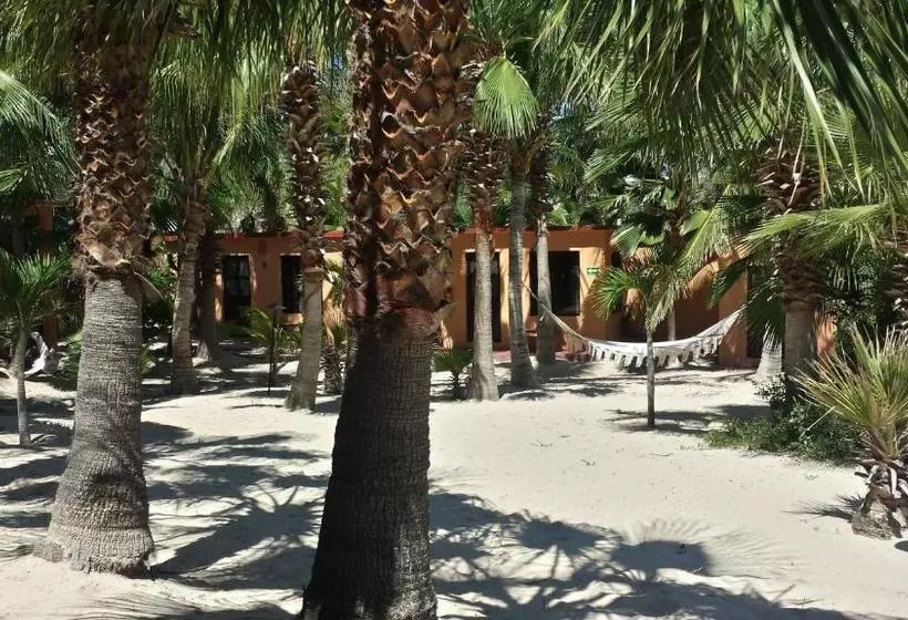 Lomakeskus Baja Joe S