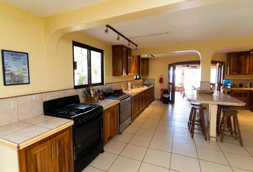 Курорт Baja Joe S