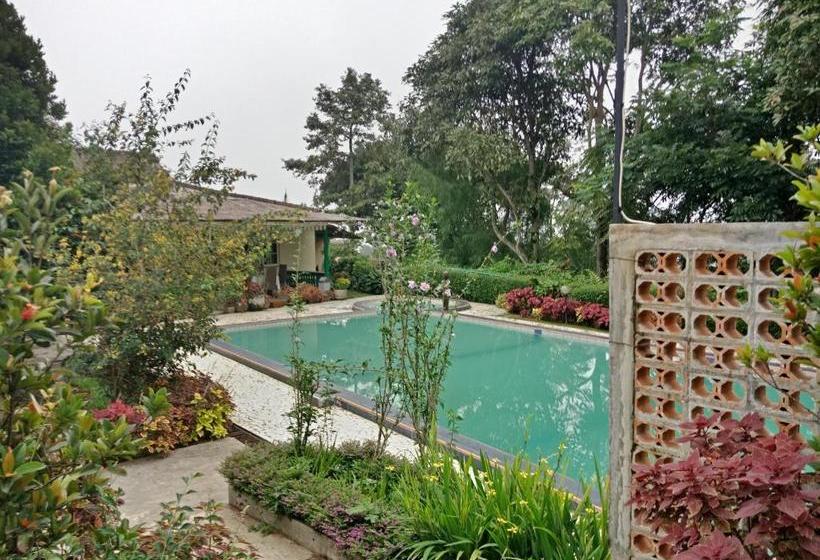 Szálloda Spot On 2642 Villa Paul