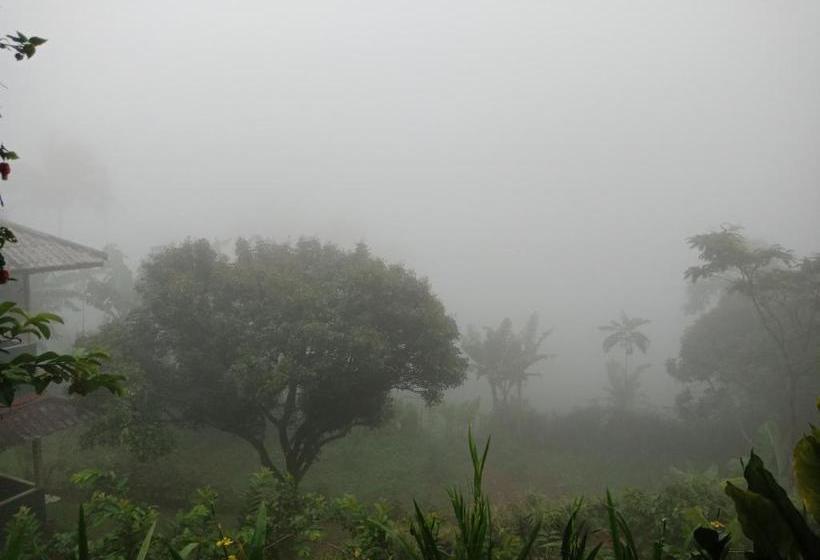 Szálloda Spot On 2642 Villa Paul