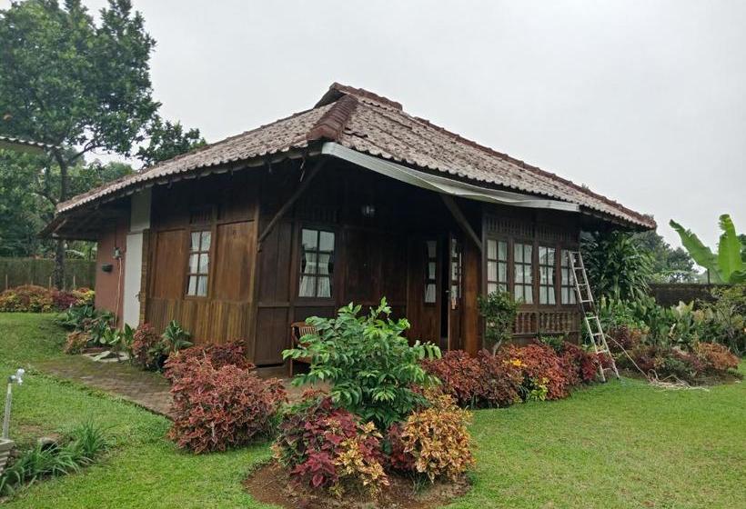 Szálloda Spot On 2642 Villa Paul