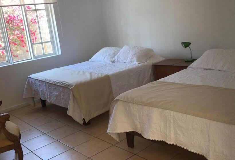 פנסיון Hostal Casa 95