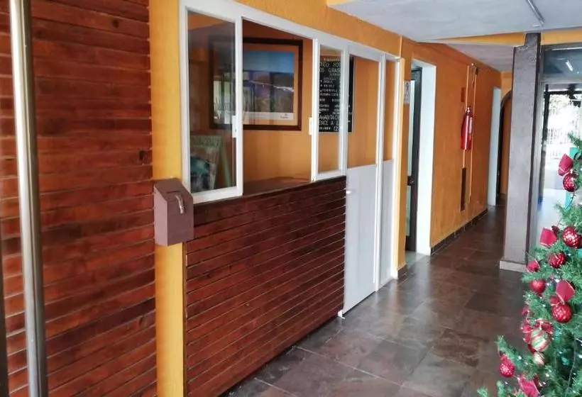ホテル Condo  Los Girasoles