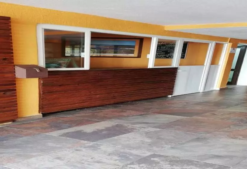 ホテル Condo  Los Girasoles