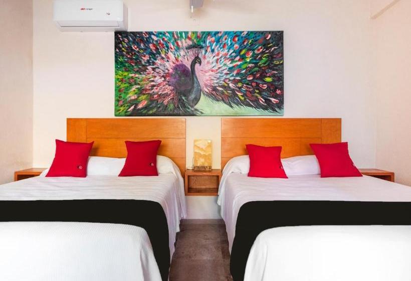 فندق Rojo Manglar