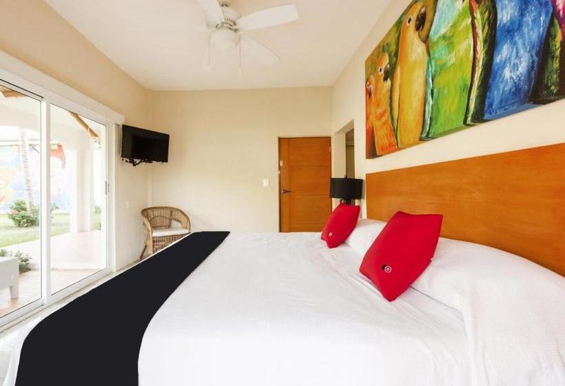 فندق Rojo Manglar