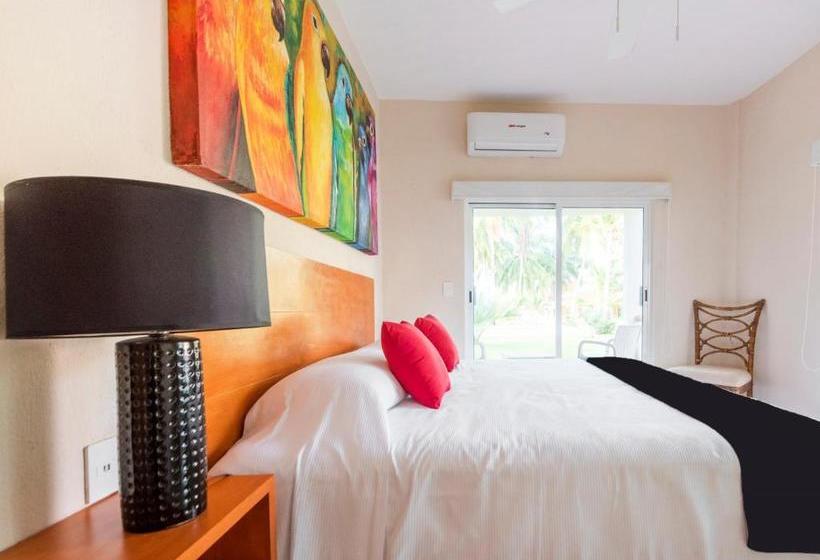 فندق Rojo Manglar