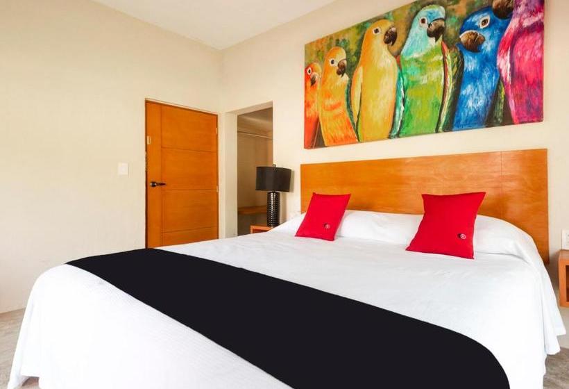 فندق Rojo Manglar