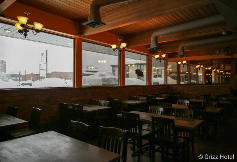 هتل Grizz