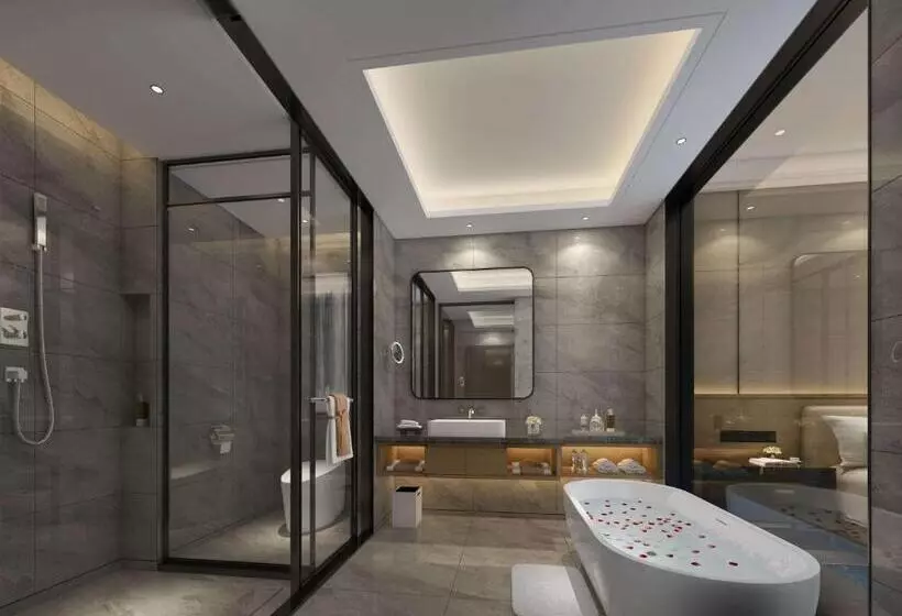 ホテル Wyndham Changsha South