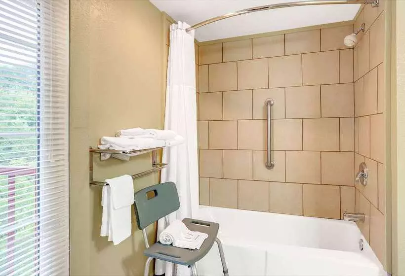 酒店 Baymont By Wyndham Gatlinburg On The River