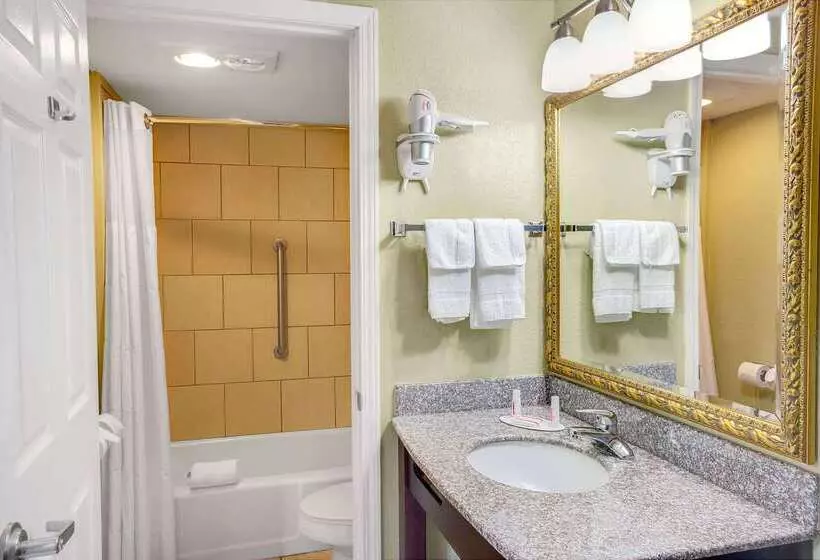 酒店 Baymont By Wyndham Gatlinburg On The River