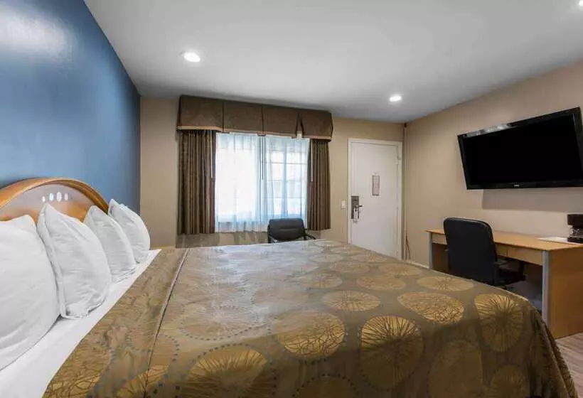 酒店 Rodeway Inn Escondido Downtown