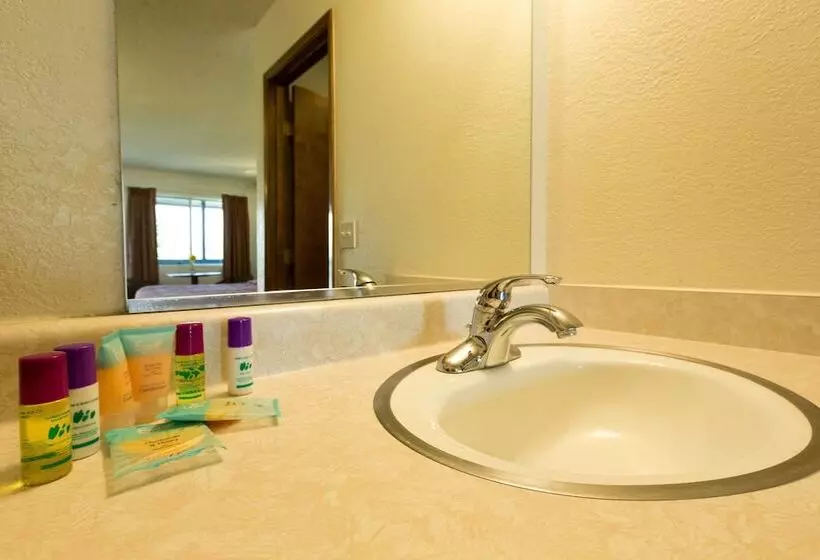 Отель The River Inn