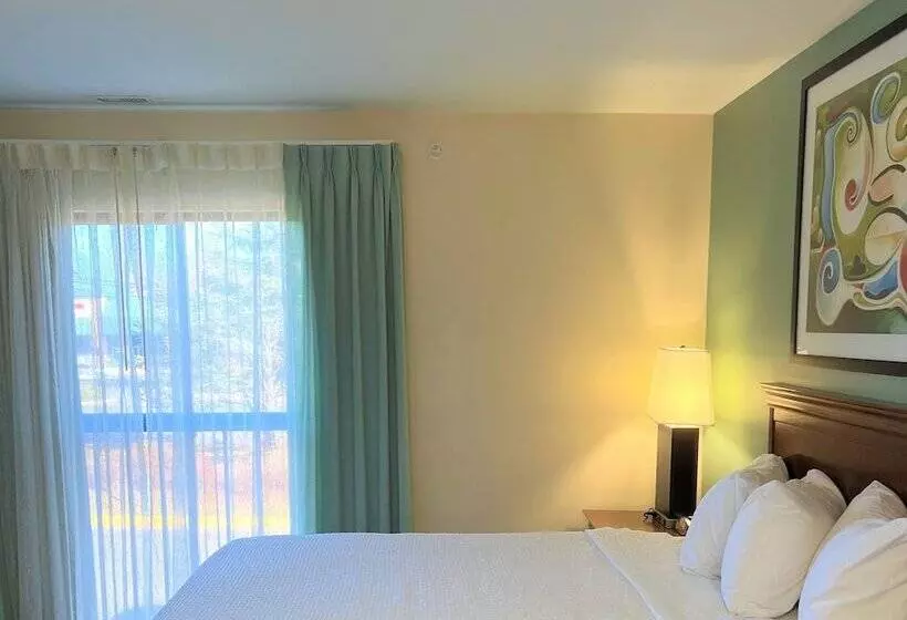 레지던스 Trellis Herndon