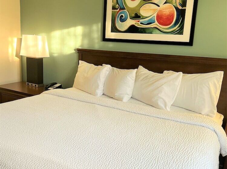 Rezidans Trellis Herndon