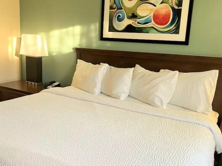 레지던스 Trellis Herndon