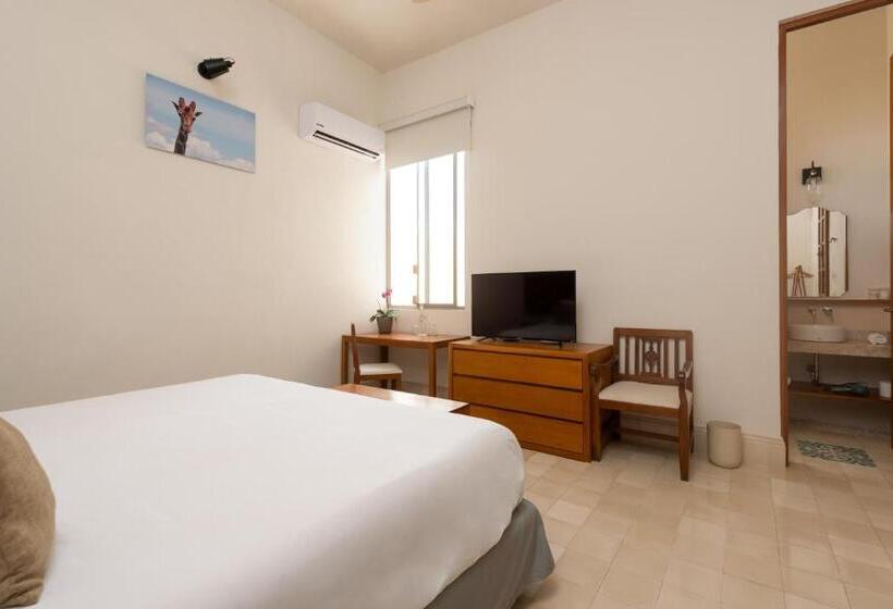 Отель Villa Orquidea Boutique