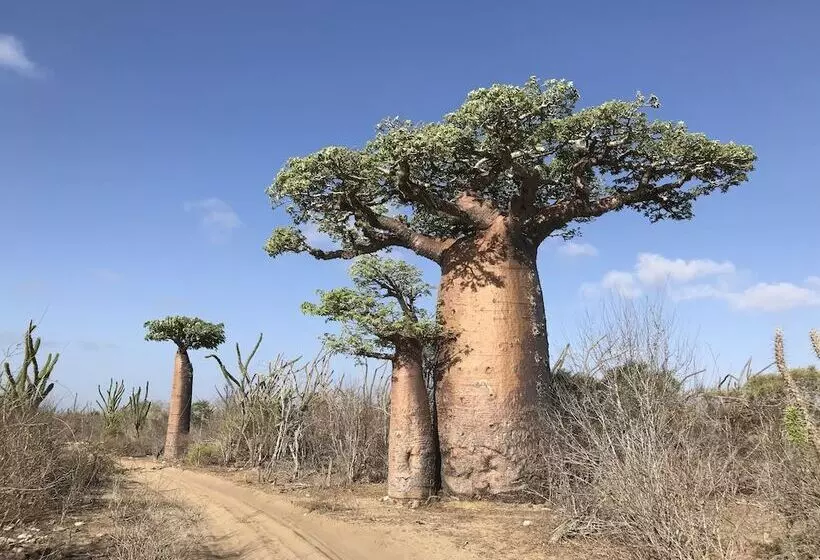 پانسیون Manga Lodge