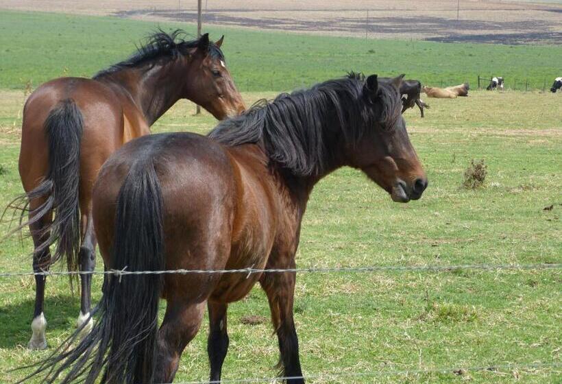 فندق Milky Lane Cottage