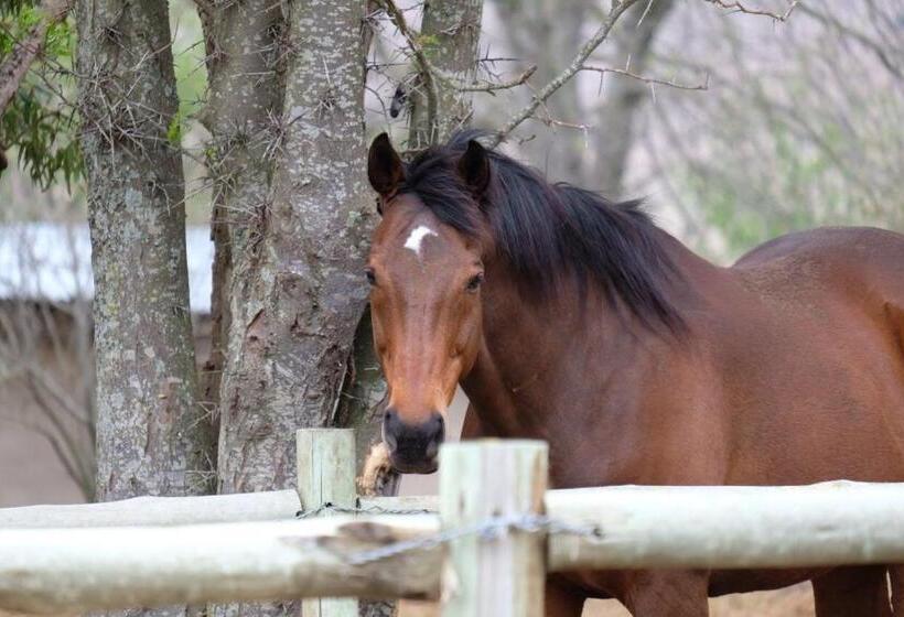 فندق Milky Lane Cottage