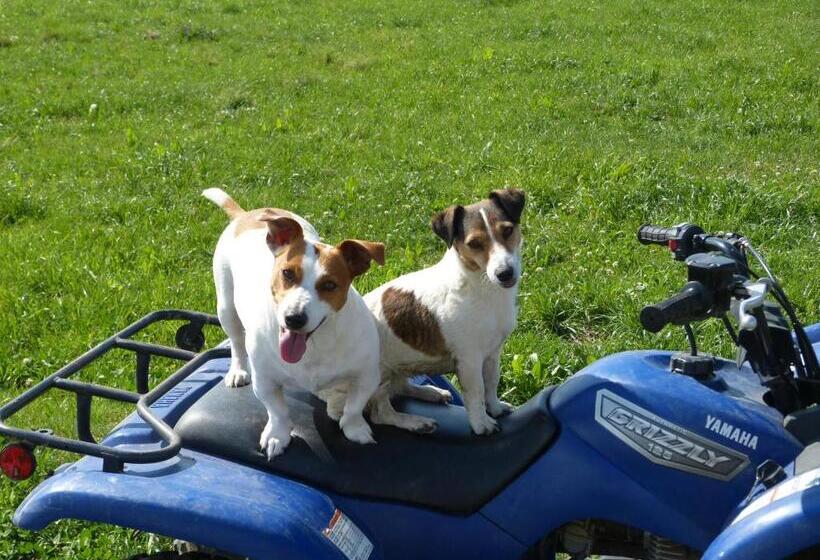 فندق Milky Lane Cottage