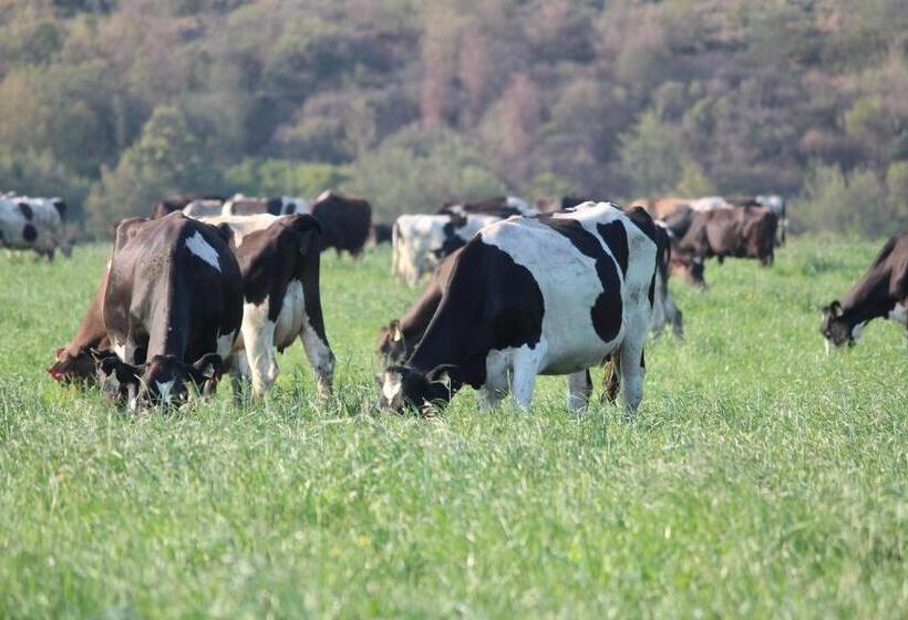 فندق Milky Lane Cottage